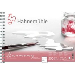 Hahnemühle Harmony 300g CP spirálozott, méret: A4 - 12lap