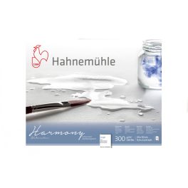   Hahnemühle Harmony 300g Rough ragasztott, méret: A3 - 12lap