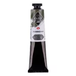 Akrilfesték Master Class (St.Petersburg) 46ml - olivazöld (Olive green) 727