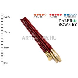   Daler Rowney Simply ecsetkészlet 6db-os sörte,hosszú nyéllel