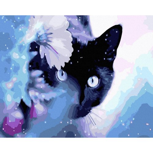 Kíváncsi fekete macska - számfestő keretre feszítve (40x50cm)