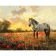 Musztáng - számfestő keretre feszítve (40x50cm)