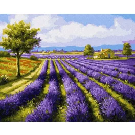 Levendulamező - számfestő keretre feszítve (40x50cm)