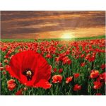 Naplemente a pipacsmező felett - számfestő keretre feszítve (40x50cm)