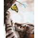Cica és pillangó - számfestő keretre feszítve (40x50cm)