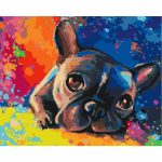 Színes bulldog - számfestő keretre feszítve (40x50cm)