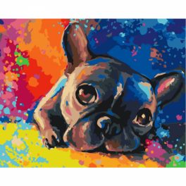 Színes bulldog - számfestő keretre feszítve (40x50cm)