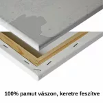 Cica virágok között - számfestő keretre feszítve (40x50cm)