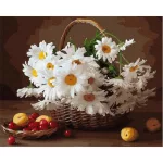 Kosár margarétával - számfestő keretre feszítve (40x50cm)