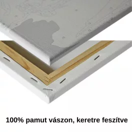   Nő színes ruhában - számfestő keretre feszítve (40x50cm)