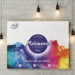 Csendélet százszorszéppel és körömvirággal (Ramil Gappasov) - számfestő keretre feszítve (40x50cm)