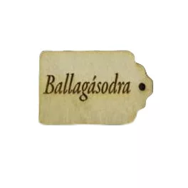   Natúr fa - Scrapbook kísérő táblák "Ballagásodra" 3x4,5cm