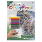 Számozott színező készlet, 20x25cm - Teknős