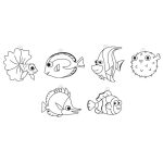 Amos üvegmatrica készlet - Trópusi halak fényvarázs formákkal