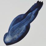 Winsor&Newton irizáló médium - 75 ml