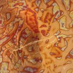 Manetti füstfólia 14x14cm, 25lap - réz, hőkezelt, var. 02. bliszteres