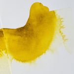 Winsor&Newton ökörepe folyadék - 75 ml 