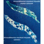 Winsor&Newton maszkoló folyadék - 75 ml