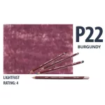 Derwent pasztell ceruza BURGUNDY 2300251/P220