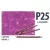 Derwent pasztell ceruza LAVENDER 2300254/P250