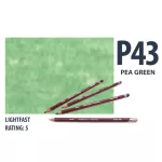 Derwent pasztell ceruza  PEA GREEN 2300272/P430