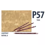 Derwent pasztell ceruza TAN 2300286/P570