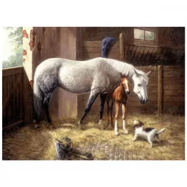   Kifestő készlet számokkal, ecsettel, felnőtteknek - 30x40 cm - Új barátok