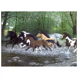   Kifestő készlet számokkal, ecsettel, felnőtteknek - 30x40 cm - Szabad vágta