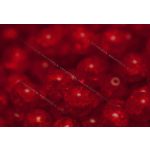 Préselt golyó 8mm, roppantott sötét siam, 22 db