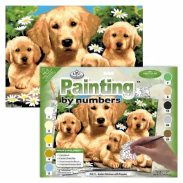   Kifestő készlet akrilfestékkel, ecsettel, gyerekeknek 11 éves kortól - 30x40 cm - Golden Retriever kölykök