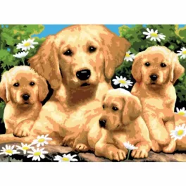   Kifestő készlet akrilfestékkel, ecsettel, gyerekeknek 11 éves kortól - 30x40 cm - Golden Retriever kölykök
