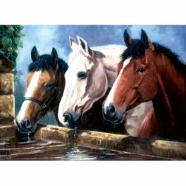   Kifestő készlet akrilfestékkel, ecsettel, gyerekeknek 11 éves kortól - 30x40 cm - Lovak az itatónál