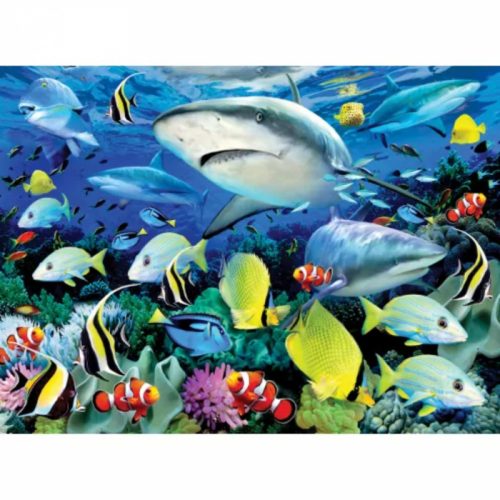 Kifestő készlet akrilfestékkel, ecsettel, gyerekeknek 11 éves kortól - 30x40 cm - Cápák a korallzátonynál