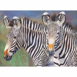   Kifestő készlet akrilfestékkel, ecsettel, gyerekeknek 11 éves kortól - 30x40 cm - Zebrapár