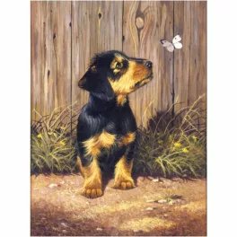   Kifestő készlet akrilfestékkel, ecsettel, gyerekeknek 8 éves kortól - 20x25 cm - Tacskó kölyök