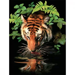   Kifestő készlet akrilfestékkel, ecsettel, gyerekeknek 8 éves kortól - 20x25 cm - Szomjas tigris