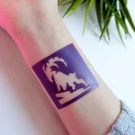 Testfestő minta sablon szett - Vadállatok 